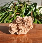 Rose des sable / Gypse / Petites fleurs / n°7572