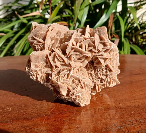 Rose des sable / Gypse / Petites fleurs / n°7572