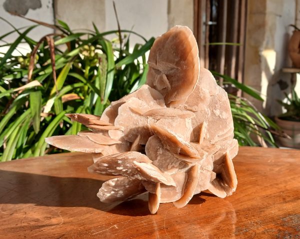 Rose des sable / Gypse / 970 gr /  n°7571