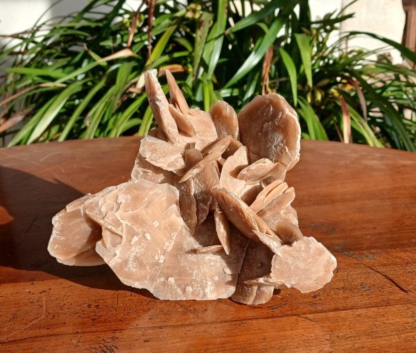 Rose des sable / Gypse / 970 gr /  n°7571