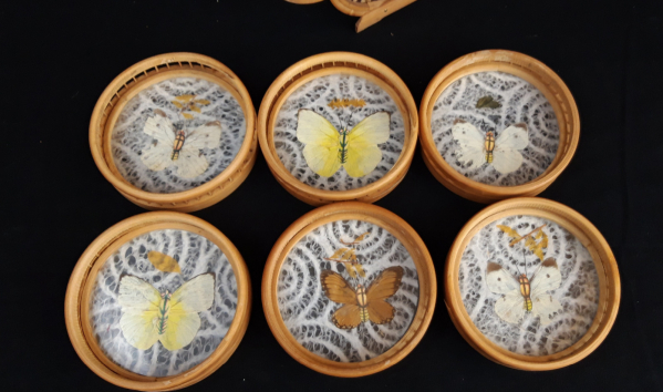 set de 6 sous verre vintage n°7349