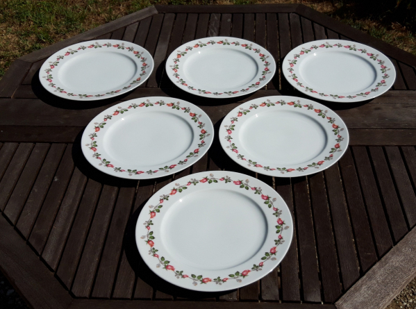 Lot de 6 assiettes plates en porcelaine n°7689