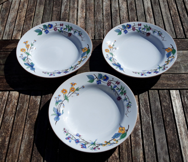 Lot de 3 assiettes creuses Woodhill n°6788