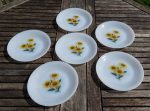 Lot de 6 assiettes a dessert vintages Arcopal n°6982