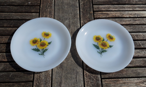 Lot de 2 assiettes a dessert vintages Arcopal n°6984