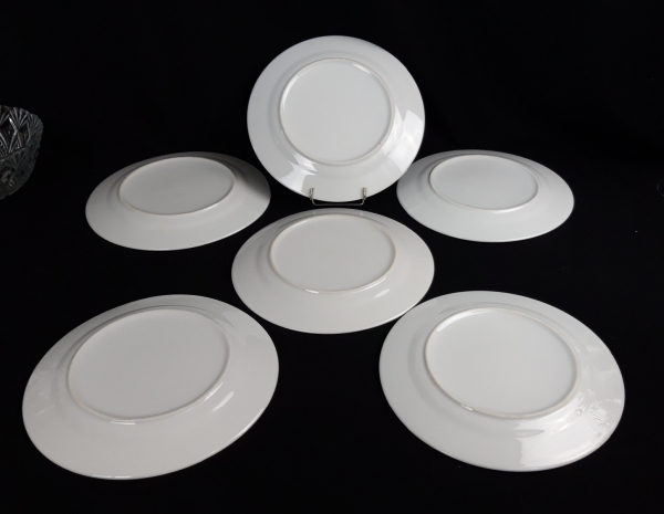 Lot de 6 grandes assiettes n°6995