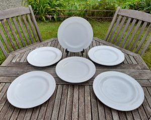 Lot de 6 grandes assiettes en porcelaine n°0475