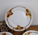 Lot 5 assiettes plates vintages n°1615