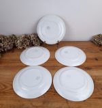 Lot 5 assiettes plates vintages n°1615