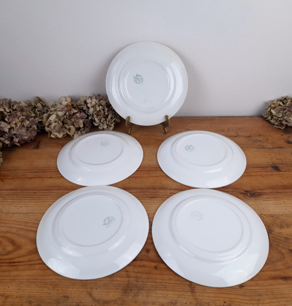 Lot 5 assiettes plates vintages n°1615