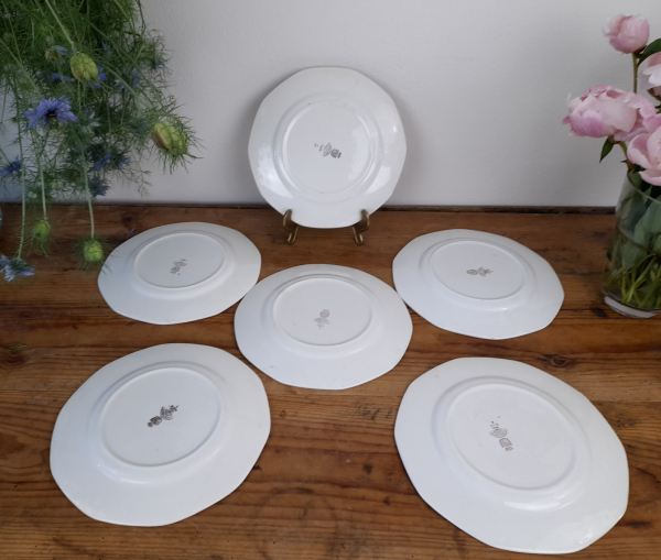 Lot de 6 assiettes plates vintages NICE n°2604