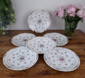 Lot de 6 assiettes plates vintages Limoges n°5051