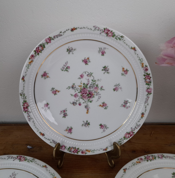 Lot de 6 assiettes plates vintages Limoges n°5051