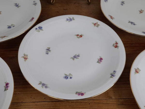 Lot de 6 assiettes plates en porcelaine n°4534