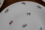 Lot de 6 assiettes plates en porcelaine n°4534