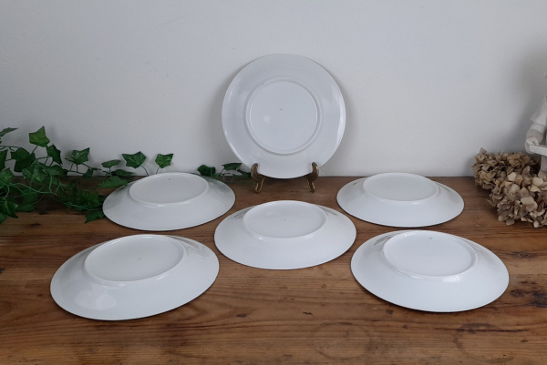 Lot de 6 assiettes plates en porcelaine n°4534