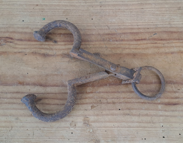 Ancienne pince a nez pour bétail n°9355