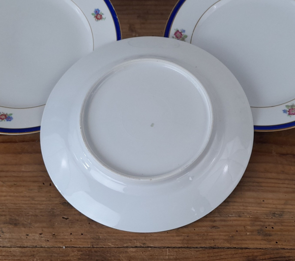 Lot de 9 assiettes en porcelaine n°2294