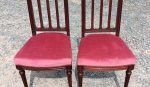 Ancien paire de chaises en acajou n°1510