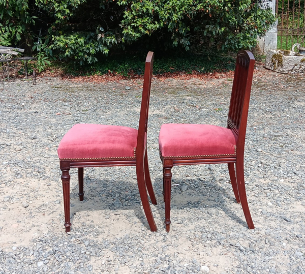 Ancien paire de chaises en acajou n°1510