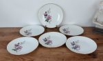 Lot 6 assiettes plates vintages Gien Chenonceaux n°1717