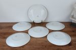 Lot 6 assiettes plates vintages Gien Chenonceaux n°1717