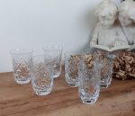 Lot de 6 verres en cristal de Bohème n°2501