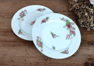 Lot de 2 anciennes assiettes en porcelaine n°10095