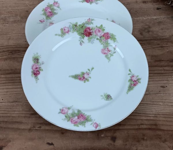 Lot de 2 anciennes assiettes en porcelaine n°10095