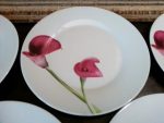 Lot 5 assiettes plates