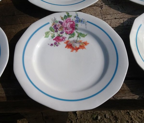 Lot de 6 assiettes / Vintage / n°9002