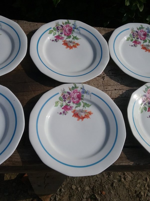 Lot de 6 assiettes / Vintage / n°9002