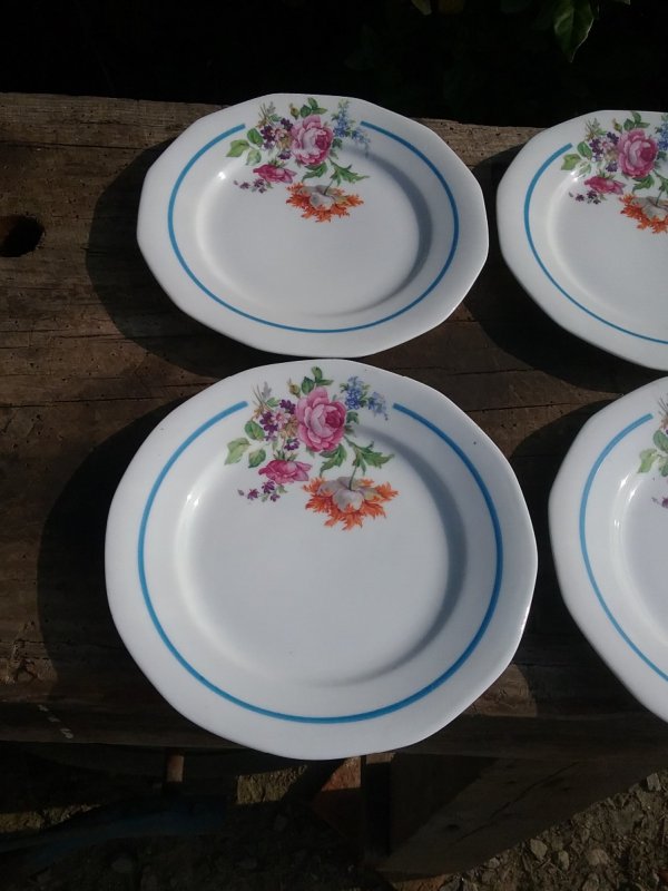 Lot de 6 assiettes / Vintage / n°9002