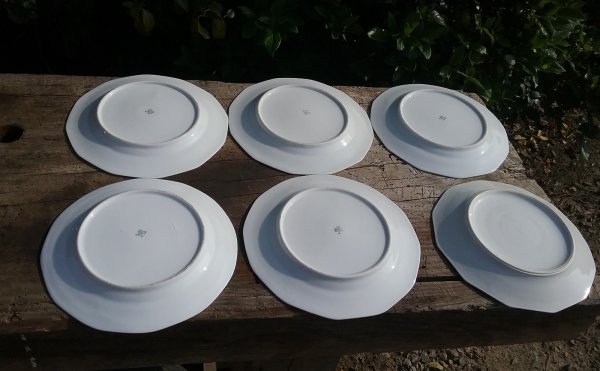 Lot de 6 assiettes / Vintage / n°9002