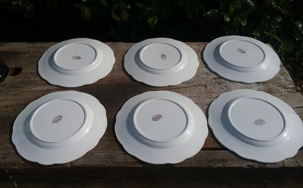 Lot 6 assiettes a dessert / Lunéville / n°8995