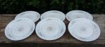 Lot de 6 assiettes / Vintage plates / Arcopal / n°8942