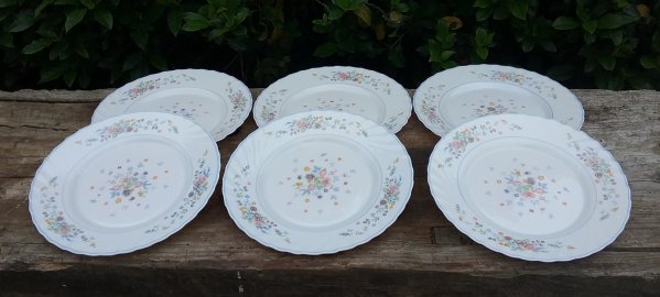 Lot de 6 assiettes / Vintage plates / Arcopal / n°8942