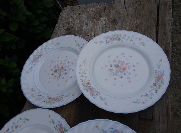 Lot de 6 assiettes / Vintage plates / Arcopal / n°8942