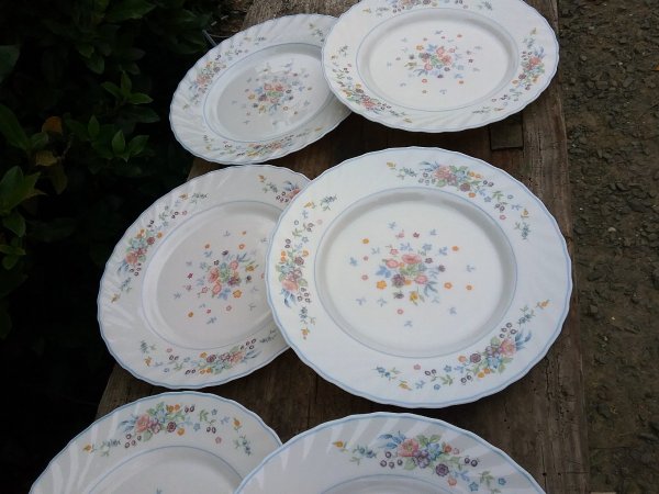 Lot de 6 assiettes / Vintage plates / Arcopal / n°8942