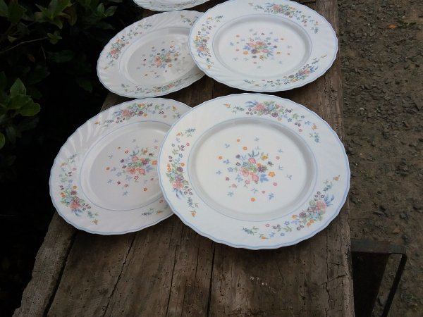 Lot de 6 assiettes / Vintage plates / Arcopal / n°8942