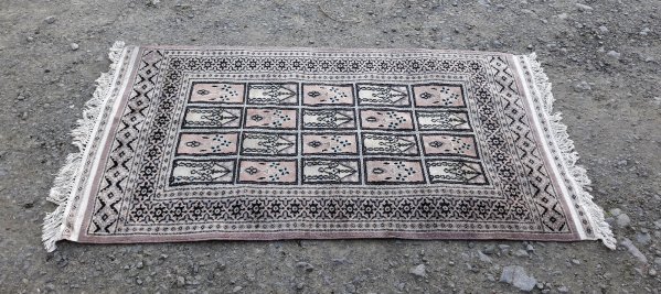 Tapis / Pakistan / N°5786