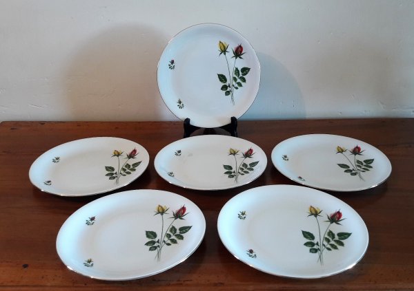 Lot de 6 assiettes plates vintages n°6399