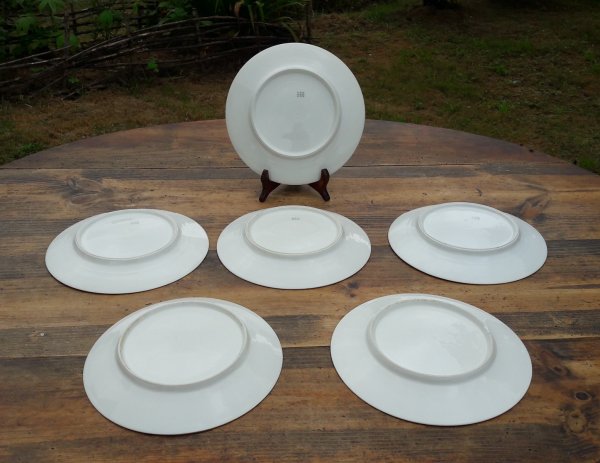 Lot 6 anciennes assiettes plates  Limoges n°6624