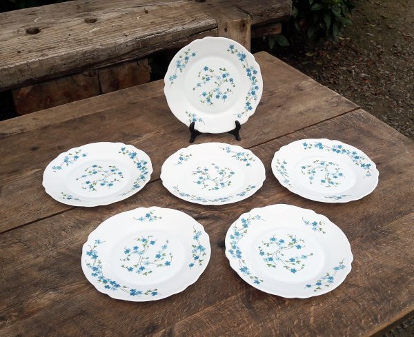 Lot 6 assiettes a dessert / Vintage / Arcopal / n°7047