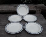 5 anciennes assiettes a soupe Salins Vauban n°7427