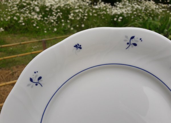 Plat en porcelaine Versailles n°4416