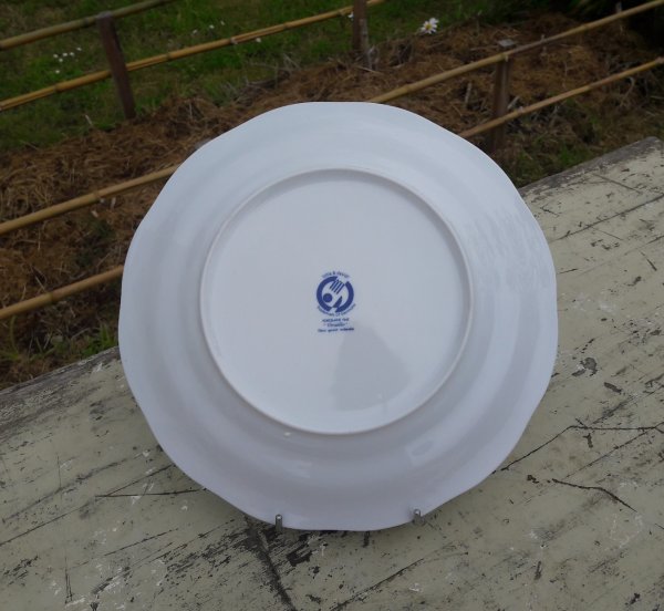 Plat en porcelaine Versailles n°4416