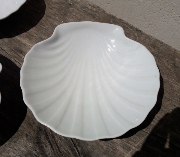 Lot de 6 coquilles St Jacques en porcelaine n°4231