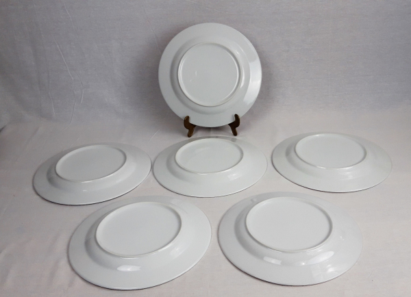 Lot de 6 grandes assiettes plates coquelicot n°2778