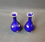 Paire de petits vases en porcelaine de Limogesn°8799